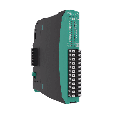Module 20 Digital Inputs
