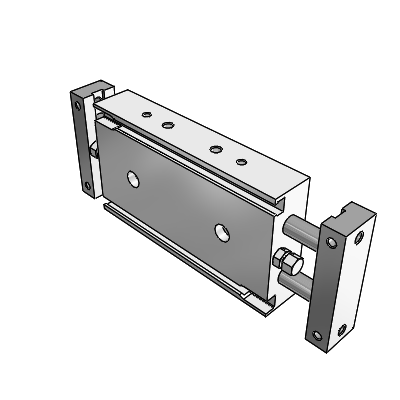 Dual Rod Cylinder/Double Rod Type