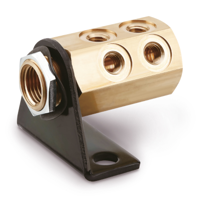 Manifold