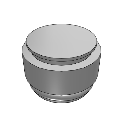 Port Plug