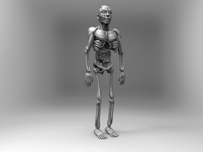 Ecorche