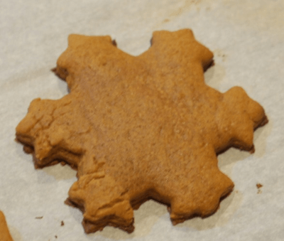 Koch snowflake cookie cutter