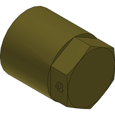 Brass BSP Solid Cap