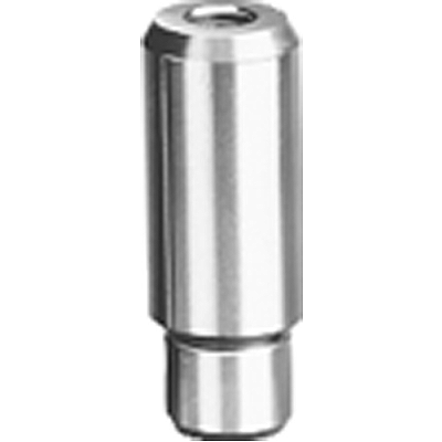 Alignment pin, reduced