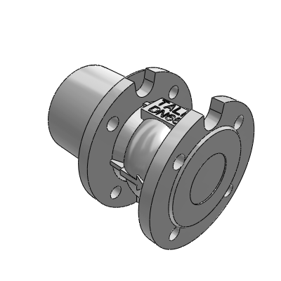 BELGICAST DRW3_CHV_AXIAL CV WS_DN65 Industrial Valves