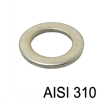 Stainless steel 310