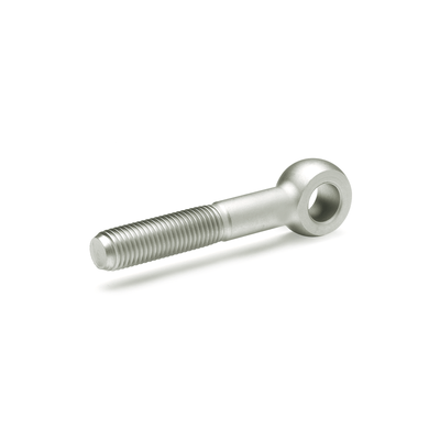 Stainless Steel-Swing bolts