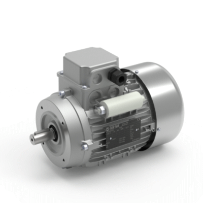 Single-phase electric motors