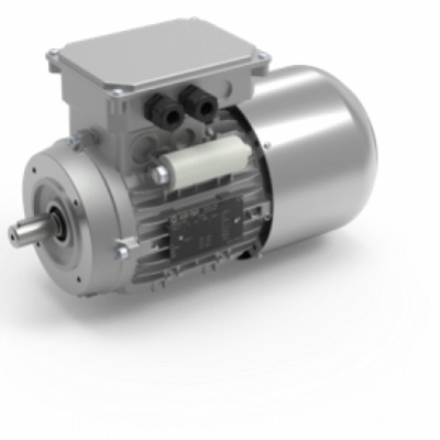 Single-phase Electric Brake Motors