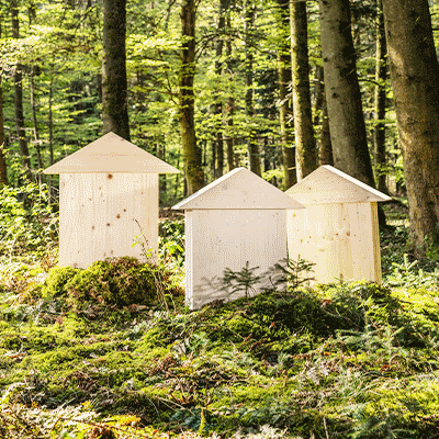 Wood products