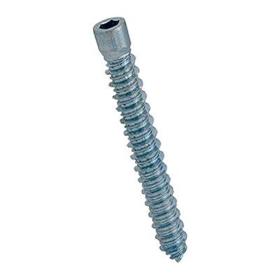 Hex socket window screws with cheese head, fully threaded, steel case-hardened, zinc plated, waxed