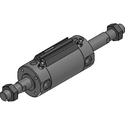 Double acting double rod type with switch