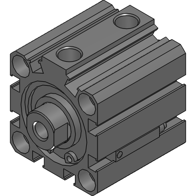 Double acting double rod type/with switch