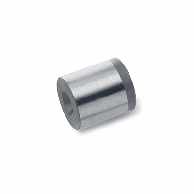 Striker bushings