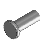 blanking plug