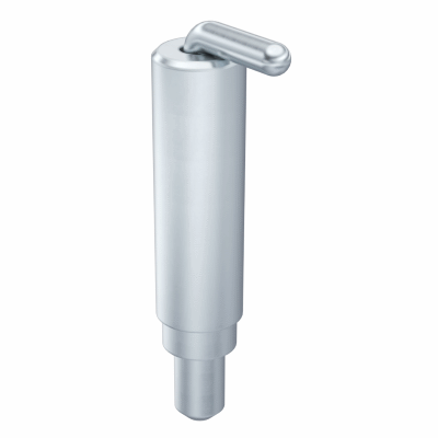 Pin Hinge with spring-loaded Pin Pr02 110° Stainless Steel