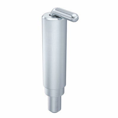 Pin Hinge with spring-loaded Pin Pr02 110°