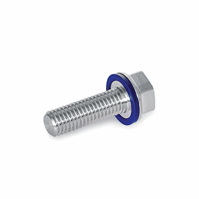 Hygienic Design Screws