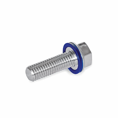 Hygienic Design Screws