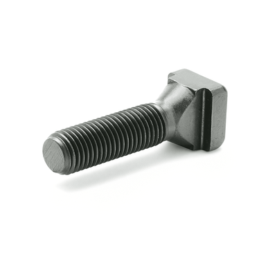 T-Slot bolts