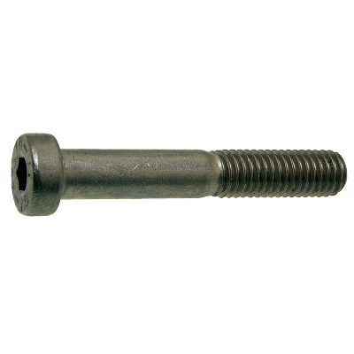 Vite testa cilindrica bassa con cava esagonale - DIN 7984 classe 8.8 - Grezze