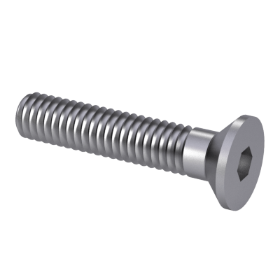 Hexagon socket countersunk head screws