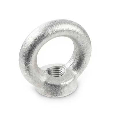 DIN 582 Lifting Eye Nuts, Stainless Steel A4