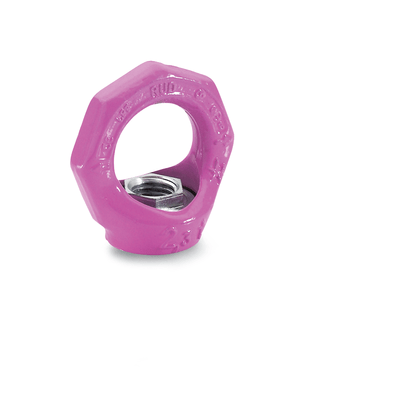 GN 583 Lifting Eye Nuts (Rotating), Steel