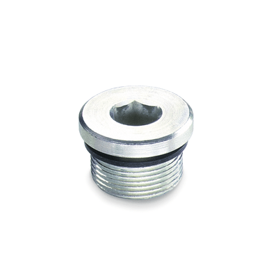 Threaded plugs, Type B Sealing ring synehetic rubber FPM (Viton®)