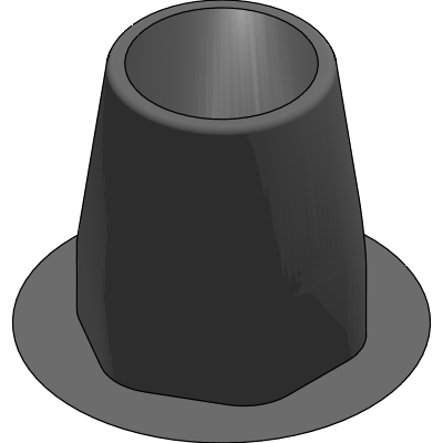 T1