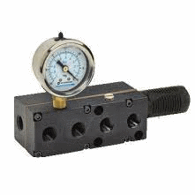 Max Series Multiple Vacuum Ports