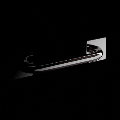 GRAB BARS