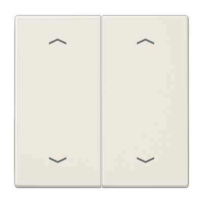Wippe 2fach, mit 4 Pfeilsymbolen, Duroplast, Serie LS, weiß (ivory)