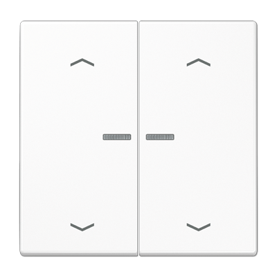 Wippe mit Lichtleiter, mit Pfeilsymbolen für Taster 2fach, Duroplast, F10, Serie LS, alpinweiß