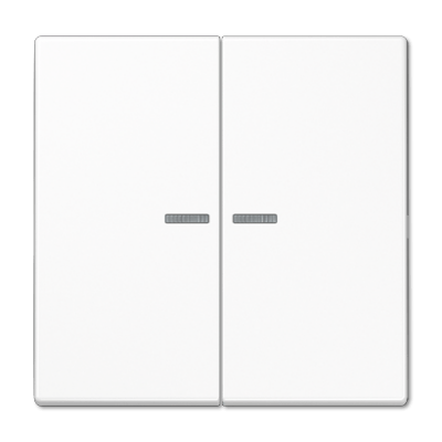 KNX RF Taster 2fach, Duroplast, Serie LS, alpinweiß