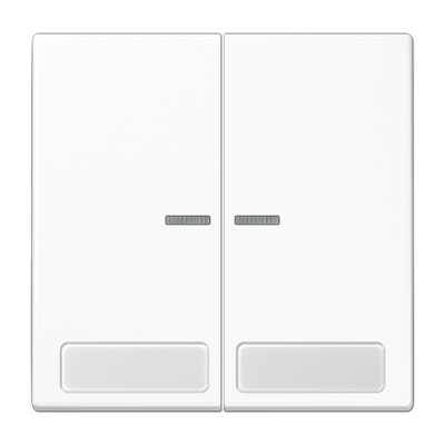 Wippe mit Lichtleiter, mit Schriftfeld, Duroplast, Serie LS, alpinweiß