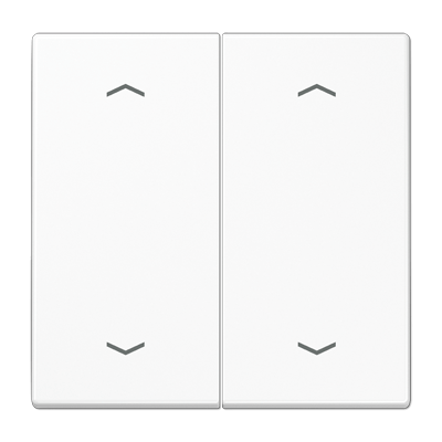 Wippe, mit Pfeilsymbolen für Taster 2fach, Duroplast, F10, Serie LS, alpinweiß