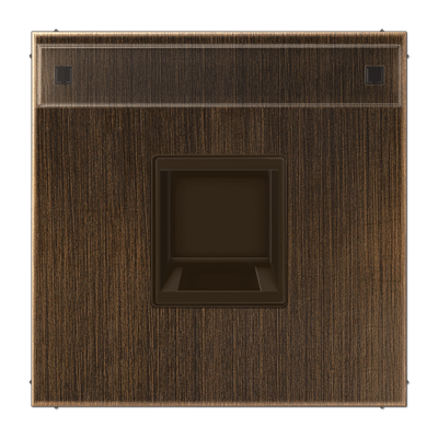 Abdeckung (gerastet) für Modular-Jack-Steckbuchsen, 1fach, UMA-CAT6A, RADIALL, Panduit, Assmann, mit Schriftfeld, Serie LS, Messing antik