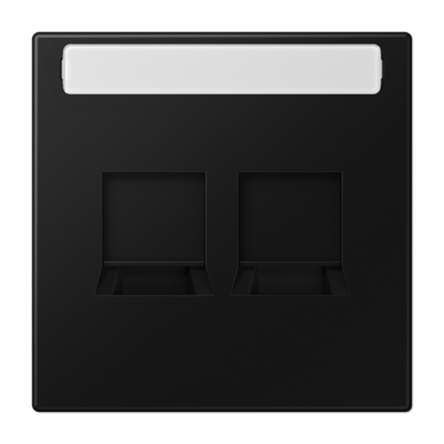 Abdeckung (gerastet) für Modular-Jack-Steckbuchsen, 2fach, UMA-CAT6A, RADIALL, Panduit, Assmann, mit Schriftfeld, Serie LS, graphitschwarz matt