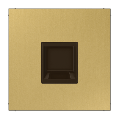 Abdeckung (gerastet) für Modular-Jack-Steckbuchsen, 1fach, UMA-CAT6A, RADIALL, Panduit, Assmann, Serie LS, Messing classic