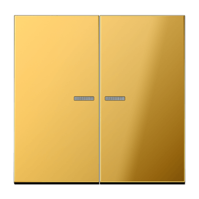 Wippe 2fach, mit Lichtleiter, Serie LS, goldfarben