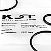 KST DIN Dichtungssatz Industrial Valves