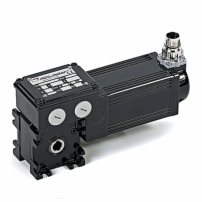Brushless servomotor with worm reduction