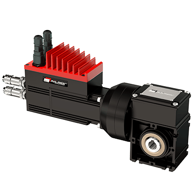 Brushless servomotor with integrated drive and worm reduction