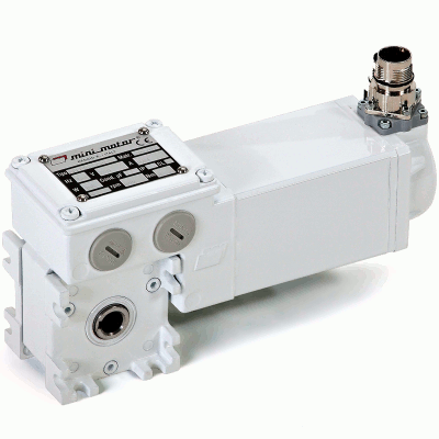 Brushless servomotor with worm reduction