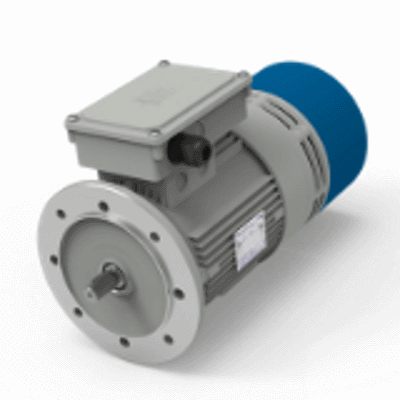 High braking torque motors