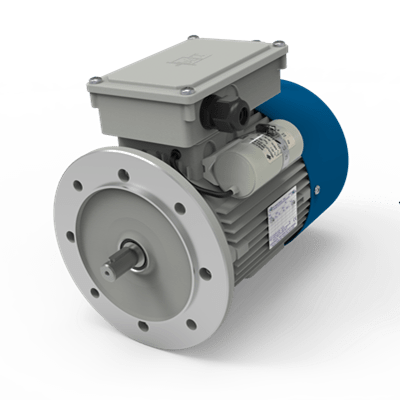 Single-phase stationary brake motors