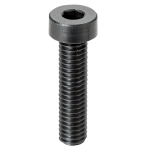 Plastic Screw RENY / Socket Head Cap Screw / Low Head