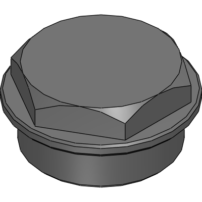 Threaded Plug