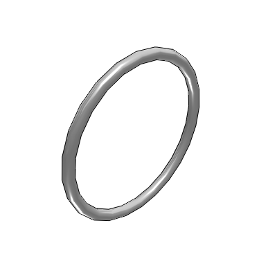 O-Ring